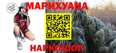 гидропоника Камышлов