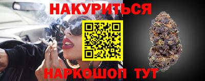 гидропоника Камышлов
