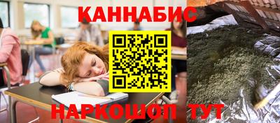 гидропоника Камышлов