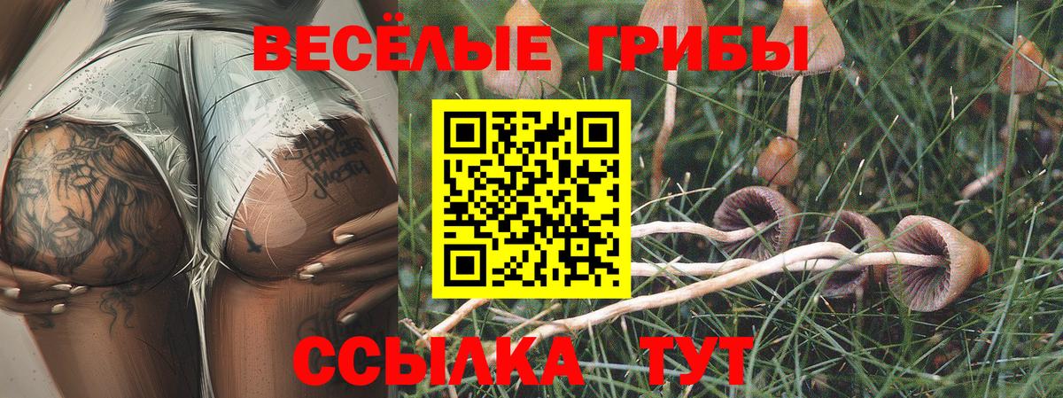 Ижевск  наркотики  Вход с VPN  Псилоцибиновые грибы Cubensis 